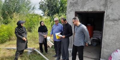 بازدید از مزرعه پرورش ماهیان گرمابی شهرستان نور