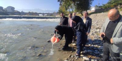 رهاسازی بچه ماهیان آزاد دریای کاسپین در رودخانه چشمه کیله
