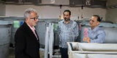 بازدید پرورش‌دهنده ماهی آزاد دریای خزر از مرکز تحقیقات ماهیان سردآبی کشور