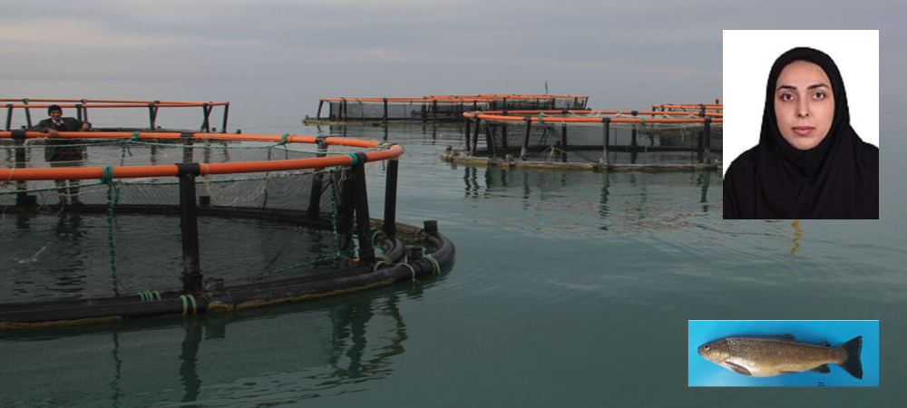 مصاحبه خانم دکتر لشگری با خبرگزاری ایرنا در ارتباط با پرورش ماهی آزاد در قفس